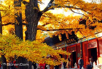 北京香岩寺第 3 张图片