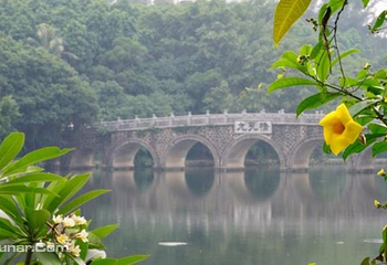 寸金桥公园第 16 张图片