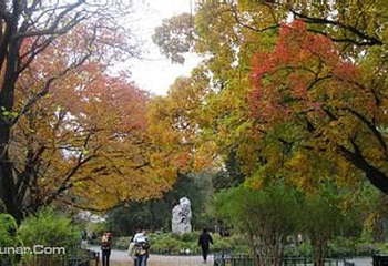 紫竹院公园第 36 张图片