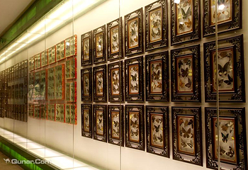 福建省土楼自然博物馆第 12 张图片