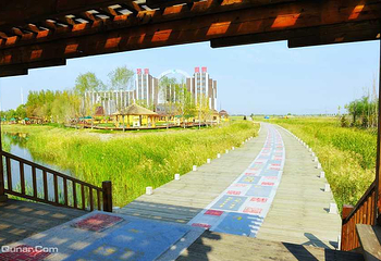 艺术邨温泉第 21 张图片