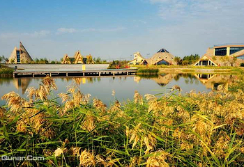 艺术邨温泉第 29 张图片