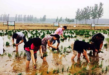 水牛稻大闸蟹生态园第 1 张图片
