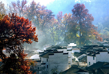 婺源风景区第 21 张图片