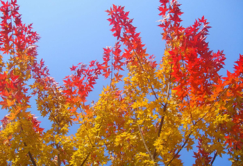 北宫国家森林公园第 3 张图片