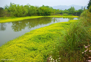 天子地山野乐园第 32 张图片