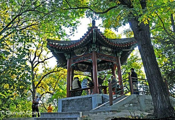 紫竹院公园第 5 张图片