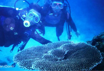 分界洲岛潜水第 43 张图片