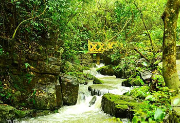 逍遥湖景区第 10 张图片