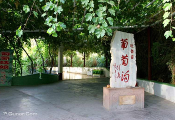 葡萄沟第 44 张图片