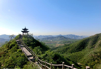 西部长青第 41 张图片