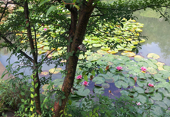 安吉余村荷花山峡谷漂流第 11 张图片
