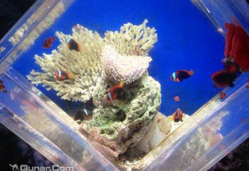 洛阳海底世界第 5 张图片