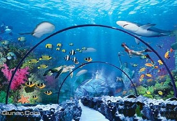 亚龙湾海底世界第 14 张图片