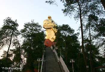 大金鹰园第 4 张图片