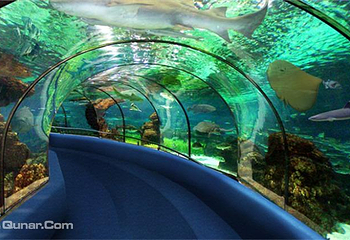 海底世界第 3 张图片