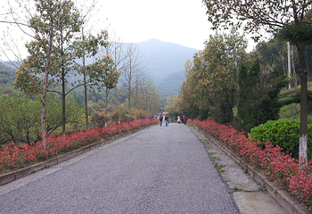 安吉余村荷花山峡谷漂流第 15 张图片