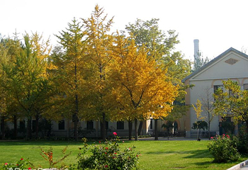 北京科技大学第 4 张图片