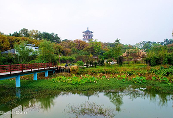 南湾湖风景区第 8 张图片