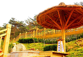 泰山温泉城第 6 张图片