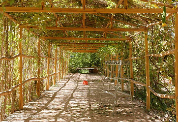 交河故城第 7 张图片