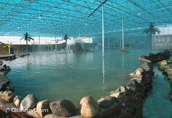 鹤鸣湖湿地温泉度假区第 14 张图片