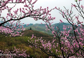 大围山国家森林公园第 27 张图片