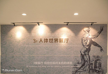 生命奥秘博物馆第 6 张图片