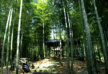 安吉余村荷花山峡谷漂流第 2 张图片