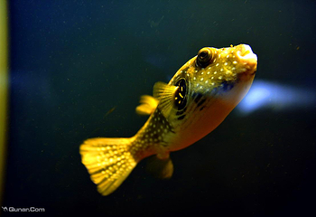 徐州云龙湖水族馆第 2 张图片