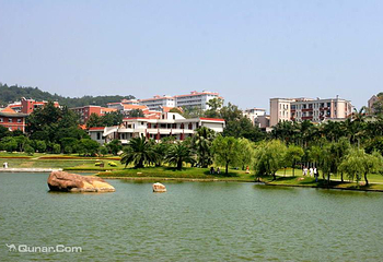 厦门大学(思明校区)第 42 张图片
