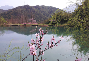 安吉余村荷花山峡谷漂流第 19 张图片