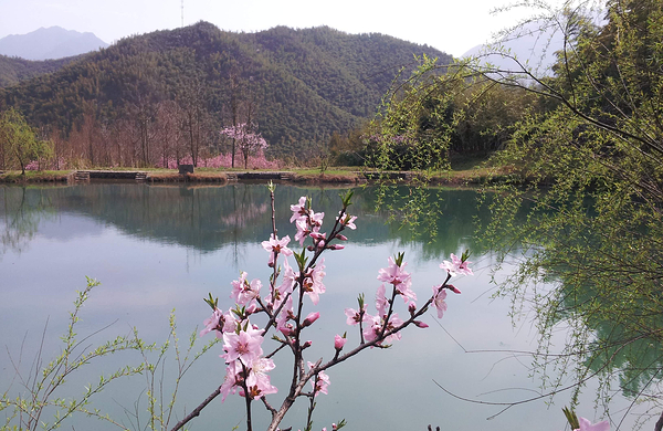 c安吉荷花山漂流电子票(短信验证,快速入园)