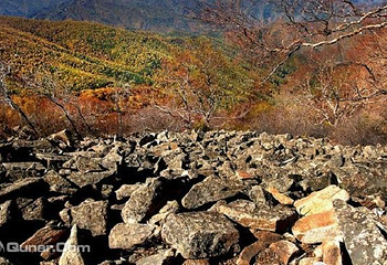 白草洼国家森林公园第 16 张图片