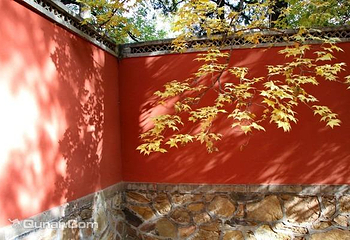 大觉寺第 18 张图片