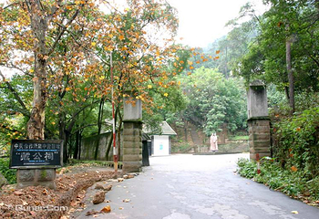 歌乐山国家森林公园第 79 张图片