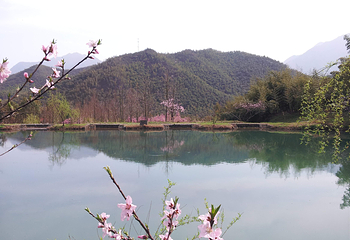 安吉余村荷花山峡谷漂流第 18 张图片