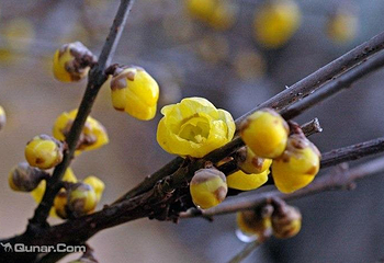 花都温泉度假区第 3 张图片