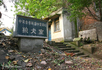 歌乐山国家森林公园第 62 张图片