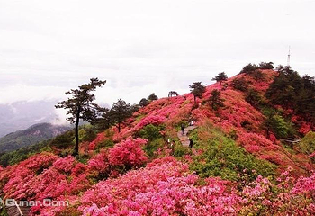 中国眉山七里坪旅游度假区第 7 张图片