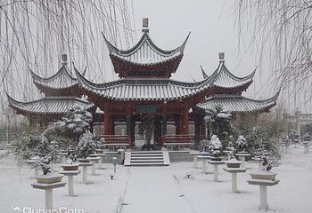 龙川盆景艺苑第 3 张图片