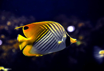 徐州云龙湖水族馆第 1 张图片
