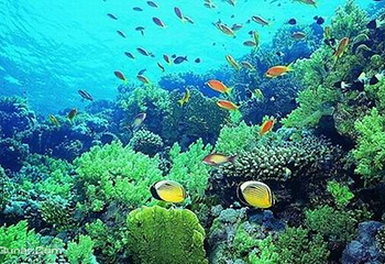 海洋生态馆第 4 张图片