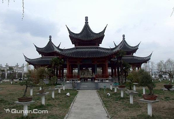 龙川盆景艺苑第 2 张图片