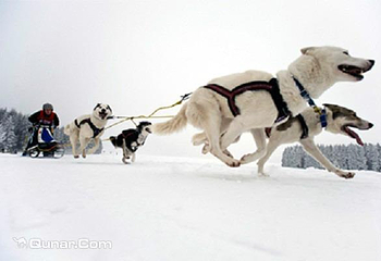 狼牙山滑雪场第 4 张图片