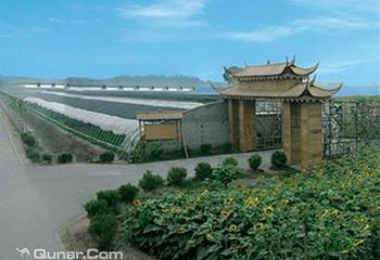北京芦西园体验观光园第 5 张图片