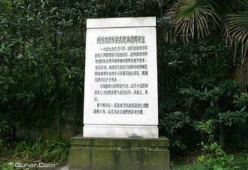 歌乐山国家森林公园第 40 张图片