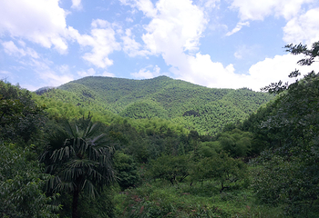 安吉余村荷花山峡谷漂流第 12 张图片