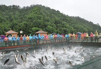 千岛湖钓鱼岛第 7 张图片