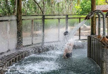 龙佳生态温泉山庄第 13 张图片